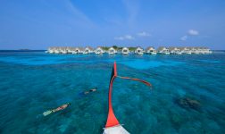 Batch cirm snorkelling 03 Large (1)