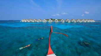 Batch cirm snorkelling 03 Large (1)