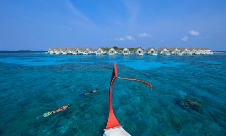 Batch cirm snorkelling 03 Large (1)