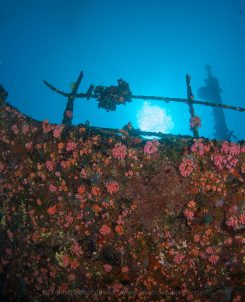 The Kudhi Maa Shipwreck
