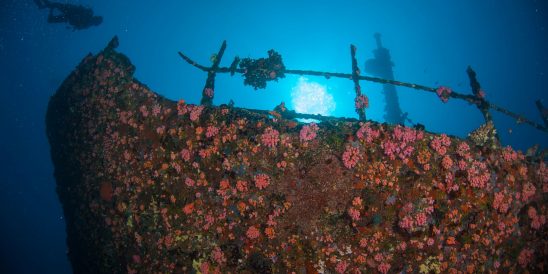 The Kudhi Maa Shipwreck