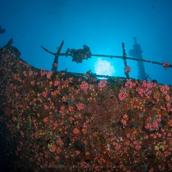 The Kudhi Maa Shipwreck