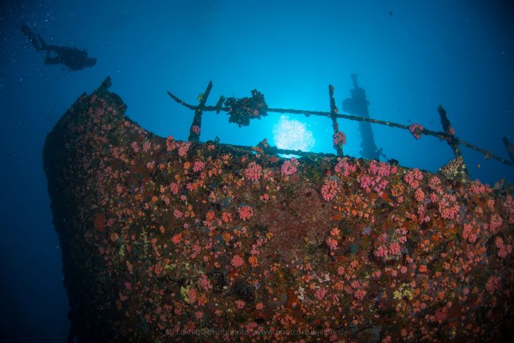 The Kudhi Maa Shipwreck