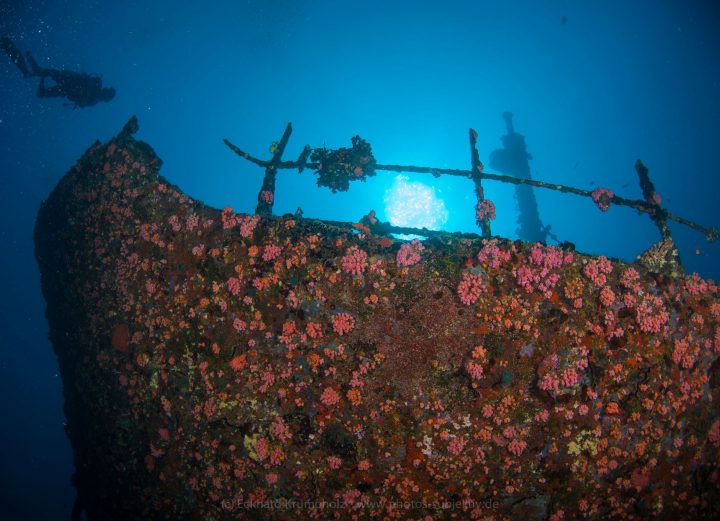 The Kudhi Maa Shipwreck
