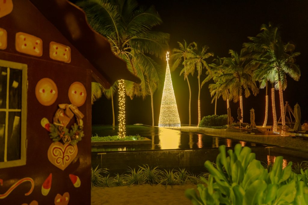Batch Christmas Tree Night Display