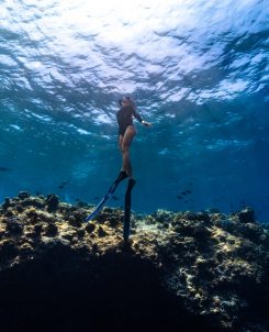 Batch Housereef Snorkelling