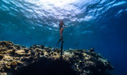 Batch Housereef Snorkelling