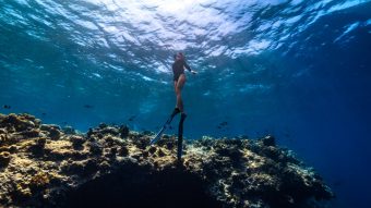 Batch Housereef Snorkelling
