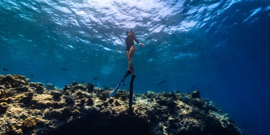 Batch Housereef Snorkelling
