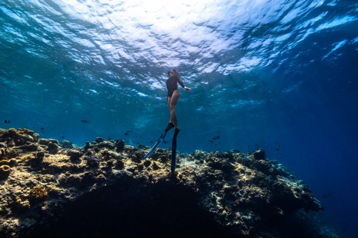 Batch Housereef Snorkelling