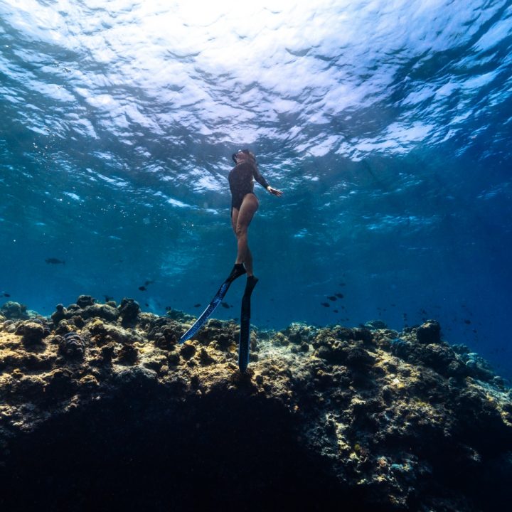 Batch Housereef Snorkelling
