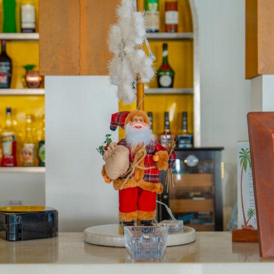 Batch Joy Island Maldives Rainbow Bar Decor (3)