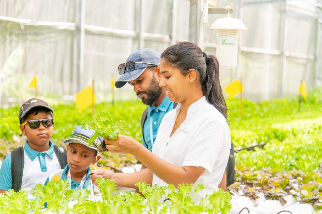 Batch Le Meridien Maldives Resort and Spa Bliss Care Foundation Greenhouse tour