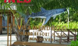 Vilamendhoo island resort kitchen renovation in maldives