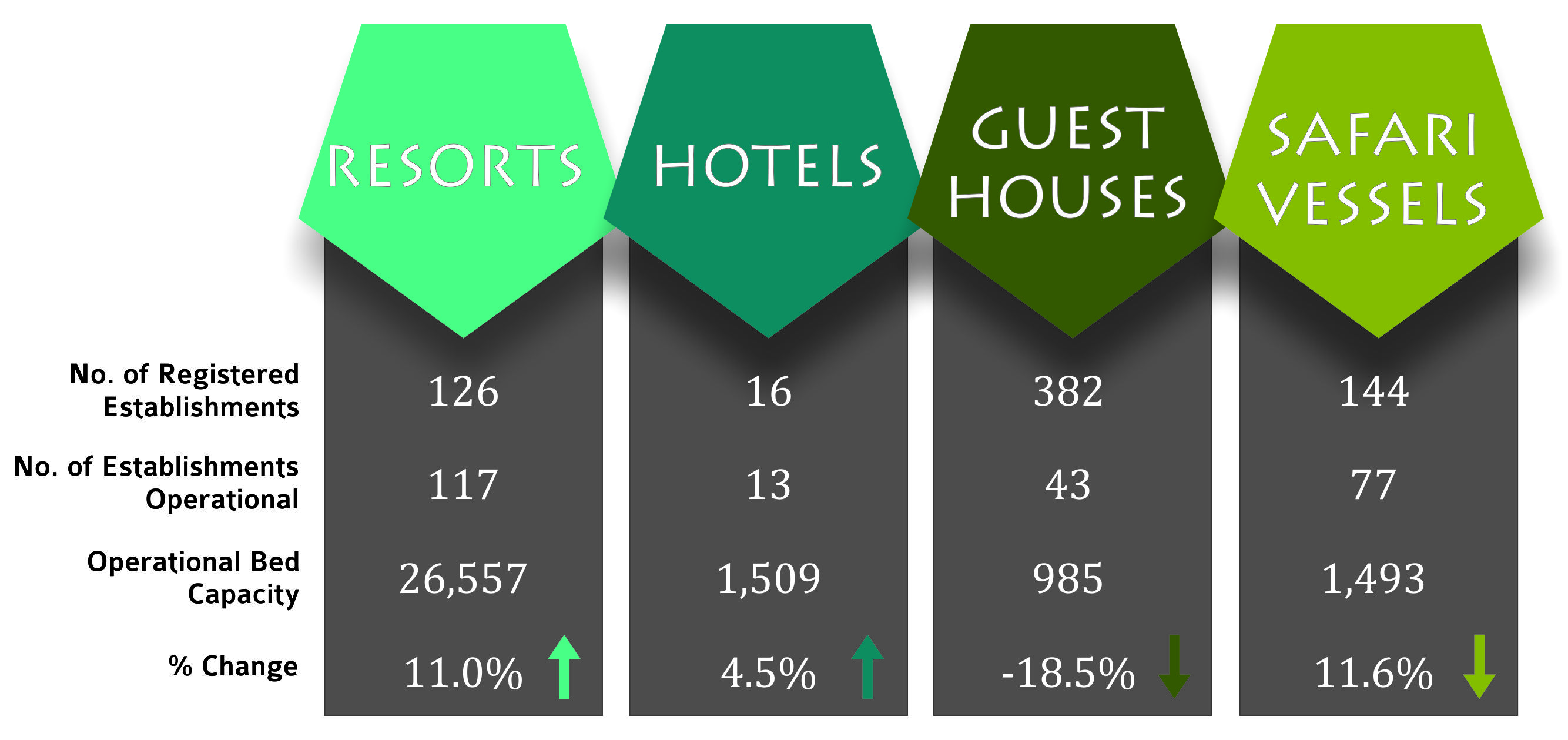 maldives tourism industry