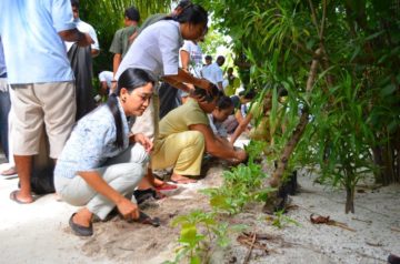 Centara Grand Planting