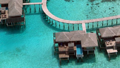 Peter Rabbit at Conrad Maldives – Hotelier Maldives