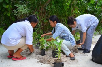 Tree planting at Centara Grand