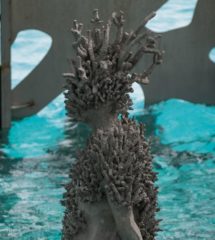 Fairmont Maldives Sirru Fenfushi Coralarium 1