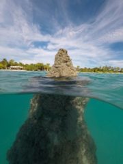 Fairmont Sirru Fen Fushi Coral 1