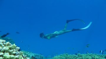 Free Diving