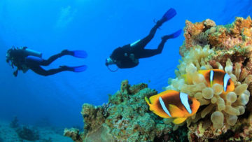 Jumeirah Dhevanafushi Underwater