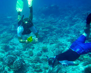 LuxMaldivesCoral-Reef