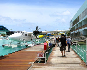 Maldives August Arrivals