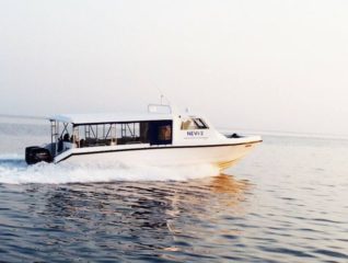 Nevi Transfer Service Low Res