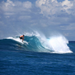 SSLM_Surfing