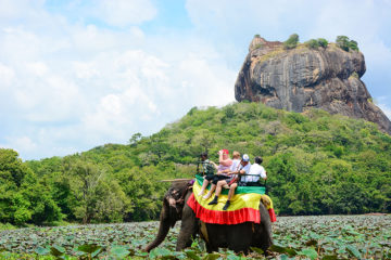 SriLankaElephant