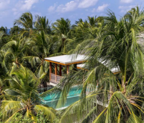Tree House Amilla