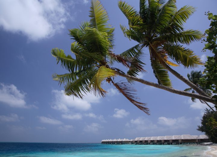 Maldives Coco Bodu hithi