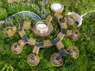 Wami Terra Tree Top Restaurant Areal View