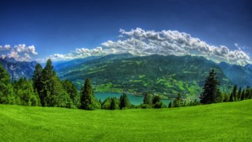 Nature Wallpaper 16